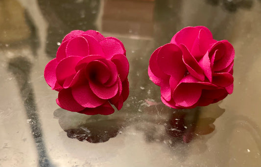 (New) The Pretty's Earrings